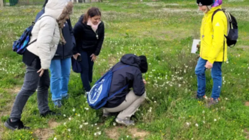 Découverte des plantes sauvages comestibles à Saint-Aunès avec Thérèse Gonet