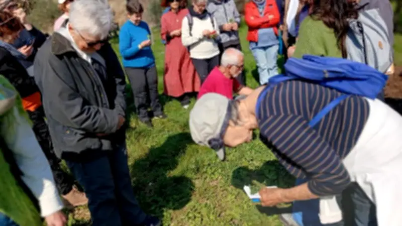 Découverte des salades sauvages aux jardins de La Gardie : un voyage gustatif printanier