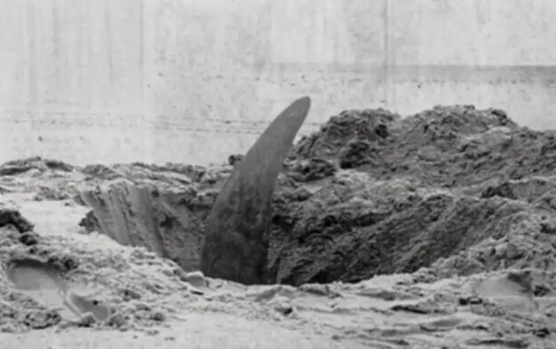 Découverte du second Mustang de 1944 sur la plage de Lège-Cap-Ferret en 1989