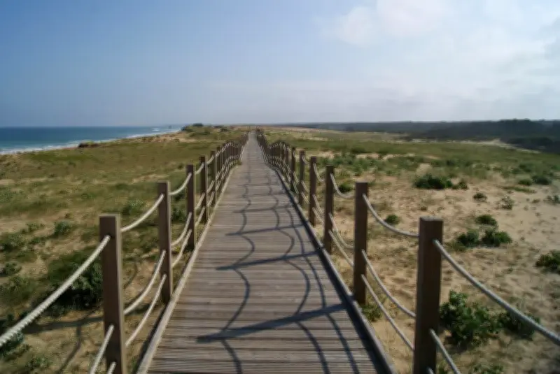 Découvrez la Côte Landaise autrement : des balades botaniques avec Marion Anquez