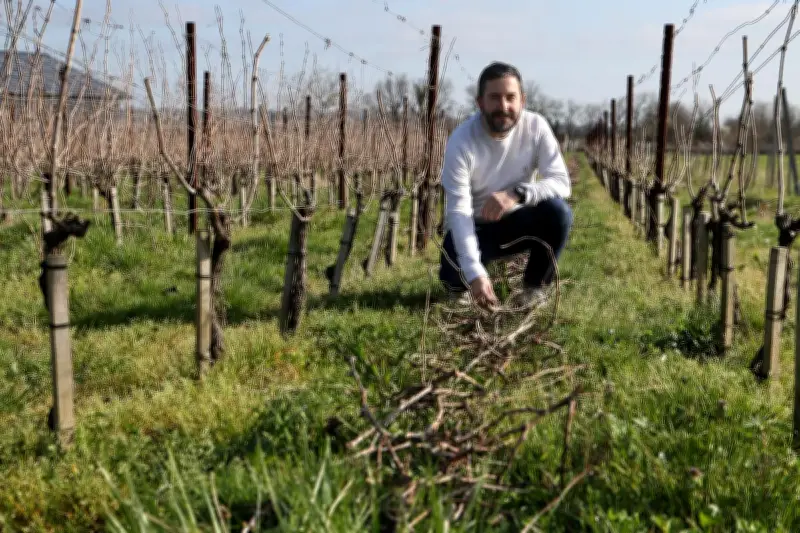 De la Marine nationale aux vignes bordelaises : Jérémy Brun entame sa deuxième vie