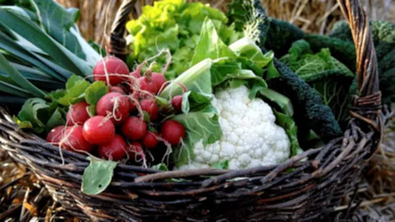 De la terre à l'assiette : les enfants explorent l'agriculture locale à Portiragnes