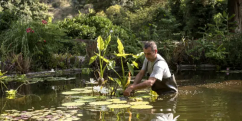 De Paris à Menton : cinq jardins du Muséum national d'histoire naturelle à découvrir
