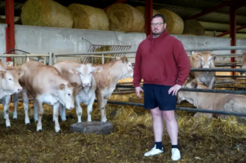 Dermatose nodulaire : les éleveurs dénoncent l'acharnement de l'État et réclament un assouplissement du protocole