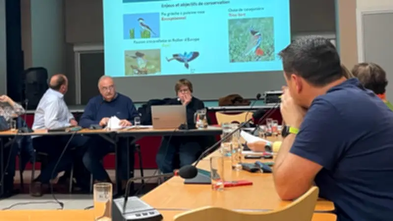 Dernier conseil municipal avant les élections : votes et décisions à Fabrègues