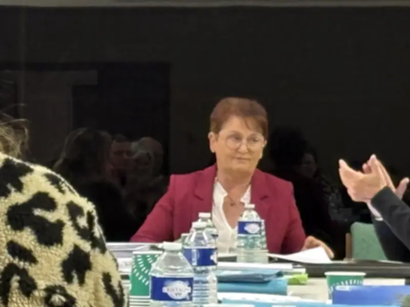 Dernier conseil municipal : comptes excédentaires et projets d'urbanisme