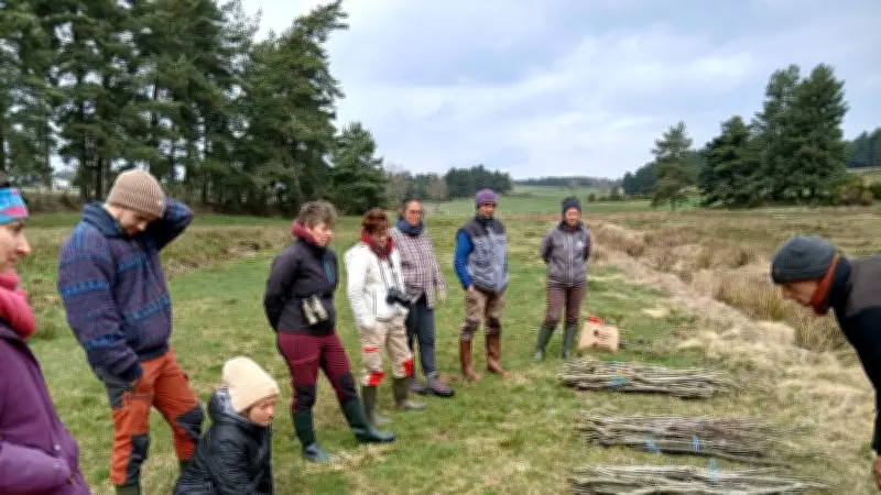Des bénévoles plantent des saules pour préserver un ruisseau en Lozère