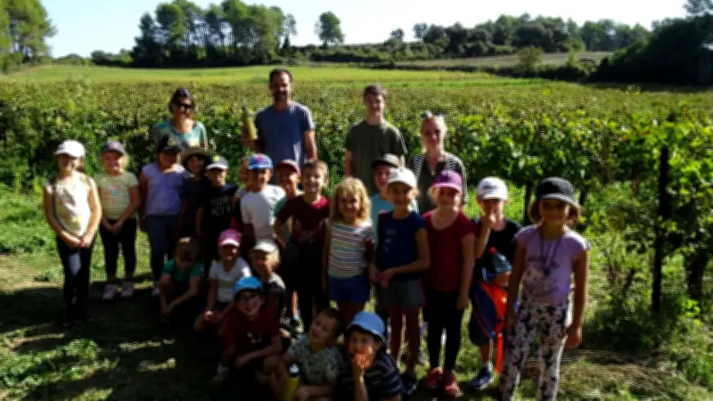 Des écoliers découvrent la vigne et les vendanges bio dans l'Hérault
