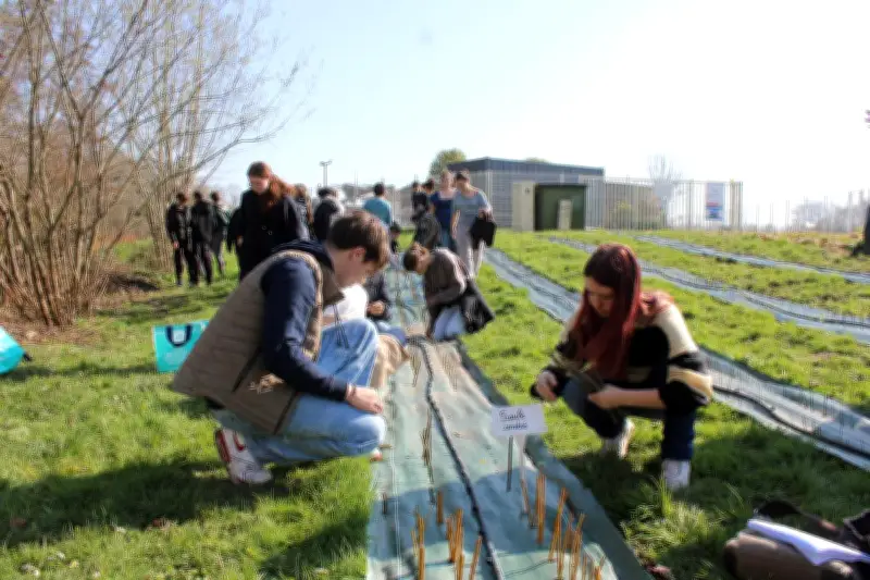 Des lycéens de Libourne-Montagne restaurent la biodiversité du vignoble par la replantation de haies