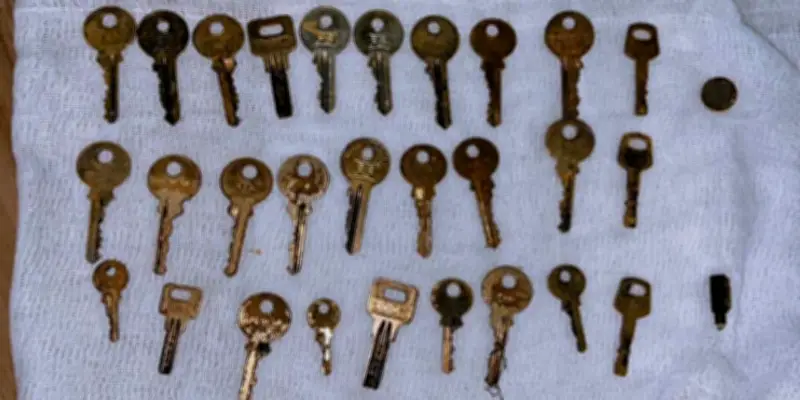 Des patients avalent des objets métalliques : des cas cliniques hors norme étudiés