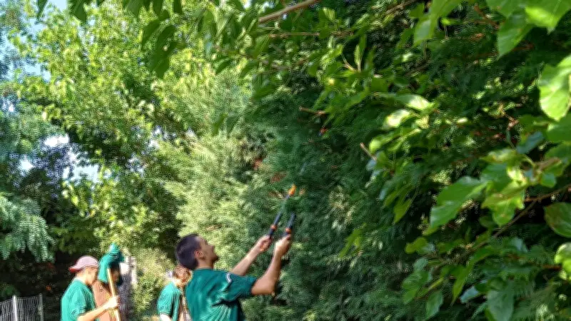 Des scouts d'Asnières restaurent un chemin patrimonial à Aujac dans le Gard