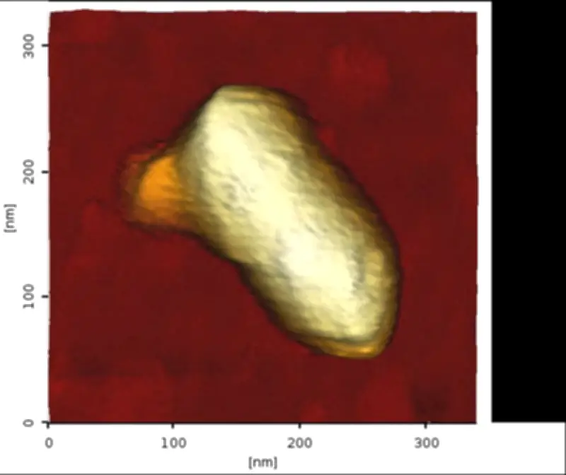 Des virus voyagent cachés dans d'autres virus, une découverte virale majeure