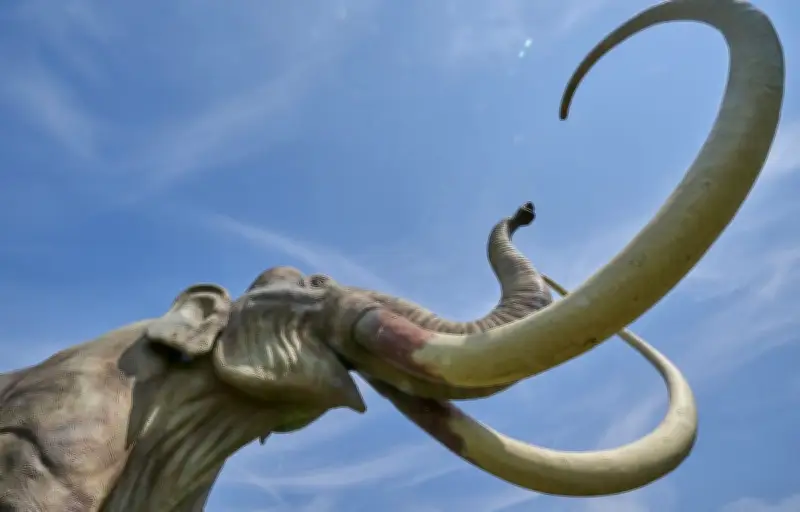 Deux hommes inculpés après avoir brisé une défense de mammouth dans un musée du Missouri