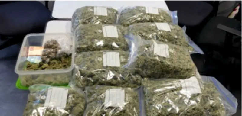 Deux jeunes jugés après une saisie record de cannabis dans le Lot-et-Garonne