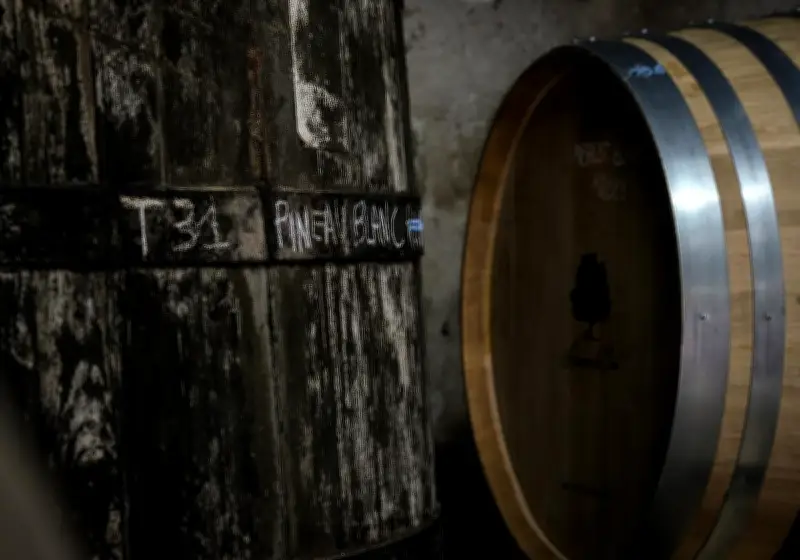 Deux maçons jugés pour avoir vidé un chai de pineau après une effraction à Cabariot