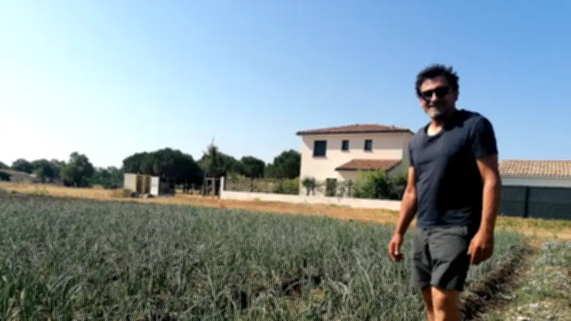 Didier Gadéa élu co-président du Modef Occitanie : un viticulteur à la tête du syndicat