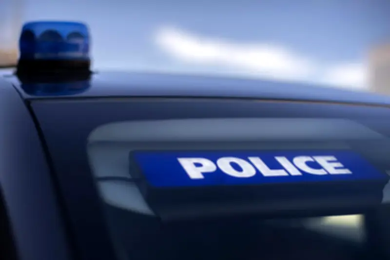 Démantèlement d'un réseau de trafic de drogue au Pays basque après une enquête d'un an