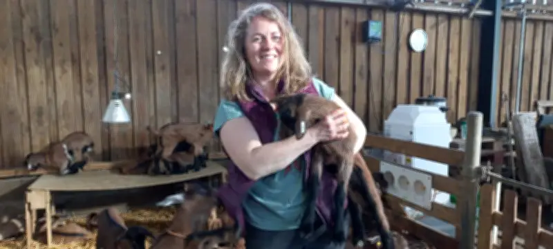 Démissions en bloc à Saint-Jean-d'Angle : les élus battus refusent l'opposition