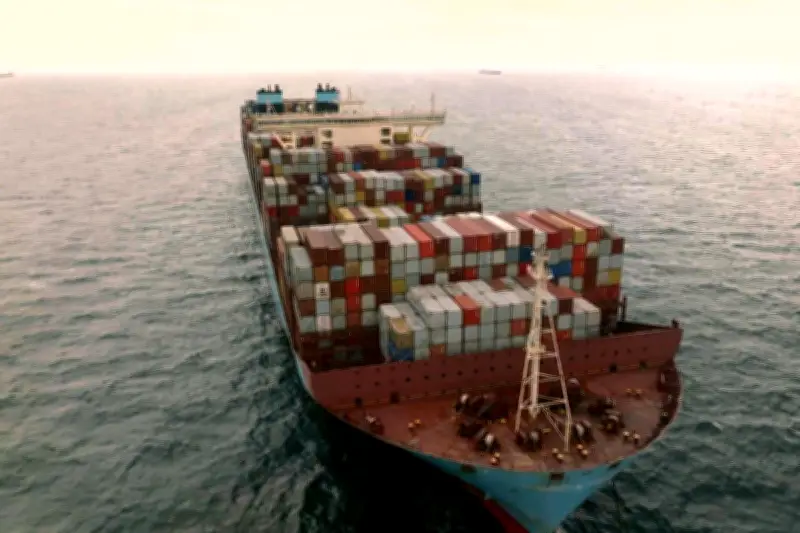 Documentaire « Cargos » : l'impact écologique colossal du transport maritime mondial