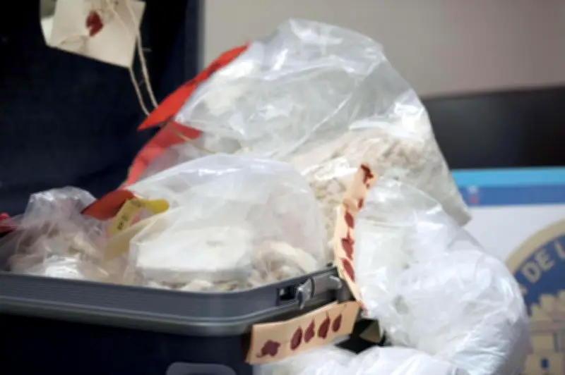 Douanes françaises : saisie historique de 13 tonnes de cocaïne à Dunkerque