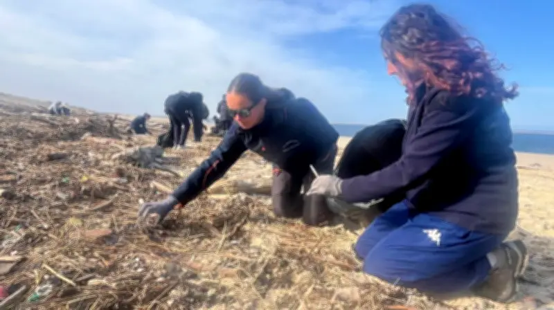 Dune du Pilat : 200 kilos de déchets ramassés après les tempêtes, un océan pollué révélé
