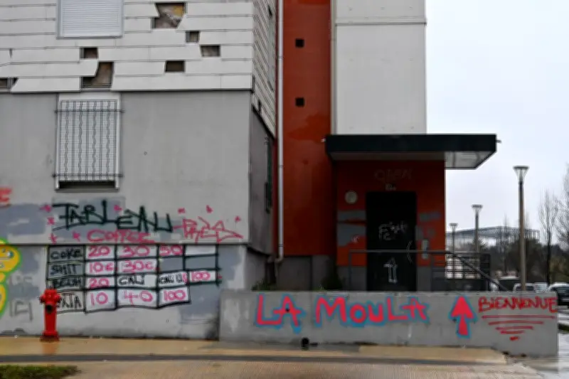 DZ Mafia : quatre individus poursuivis pour projets d'actions violentes