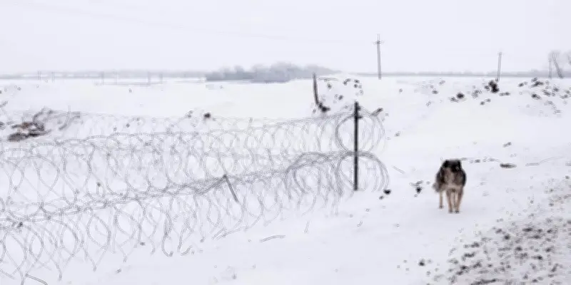 En Ukraine, les chiens de guerre deviennent des héros sur la ligne de front