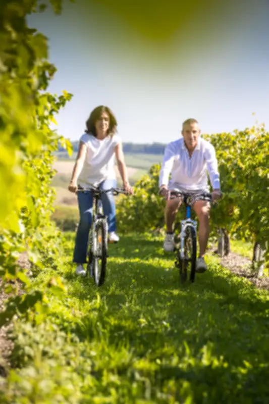 Explore Cognac révolutionne l'œnotourisme en Charentes avec des expériences mémorables