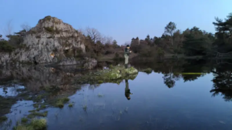 Explosion de vie au lac temporaire des Rives : les espèces colonisent rapidement les eaux