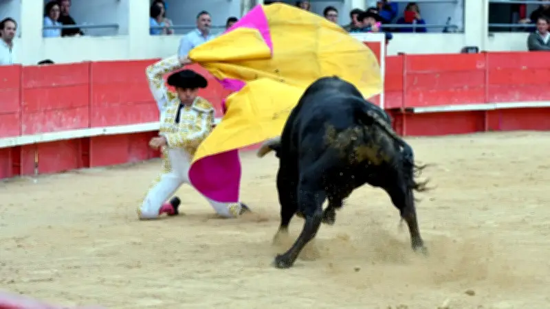 Feria d'Alès 2026 : les tarifs dévoilés avec une hausse pour la corrida