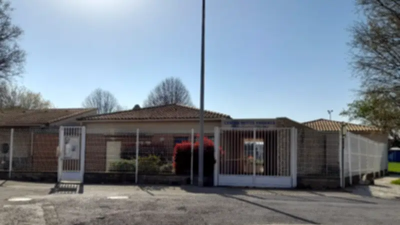 Fermeture d'une crèche à Marguerittes suite à une invasion d'insectes nuisibles