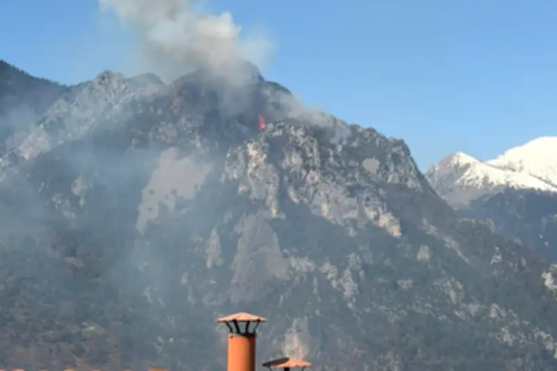 Feu de forêt à Roquebillière : 20 pompiers mobilisés pour une intervention délicate en terrain escarpé