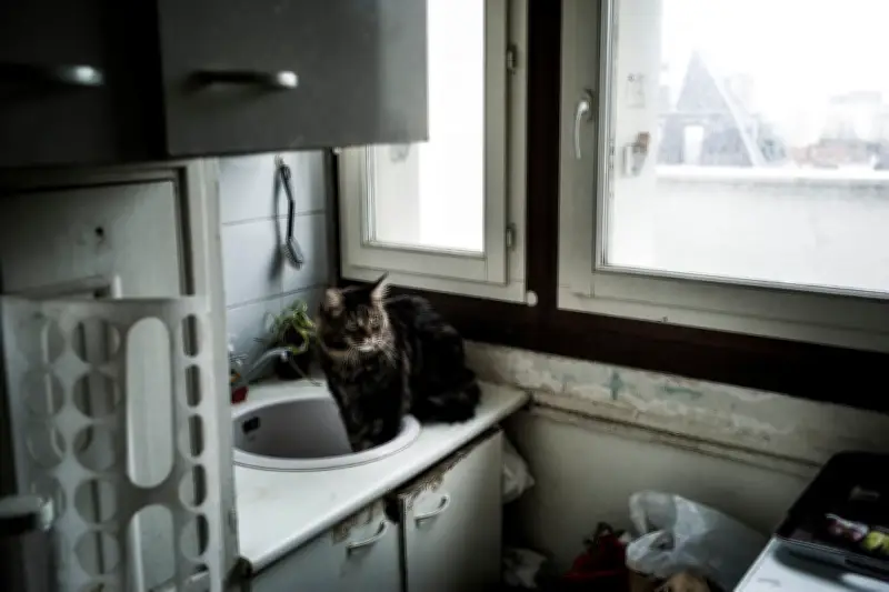 Fin de la trêve hivernale : les expulsions locatives reprennent en force ce mercredi