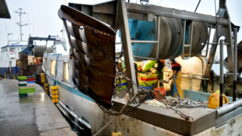 Flambée du gasoil : la pêche méditerranéenne face à un risque de paralysie