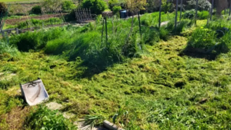 Fontanès : les jardins familiaux victimes d'un vol massif d'outils et de matériel