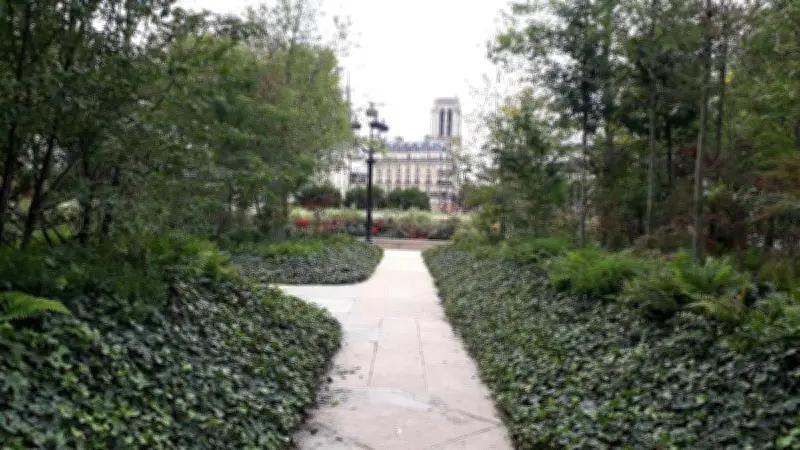 Forêts urbaines à Paris : bilan des promesses d'Anne Hidalgo cinq ans après
