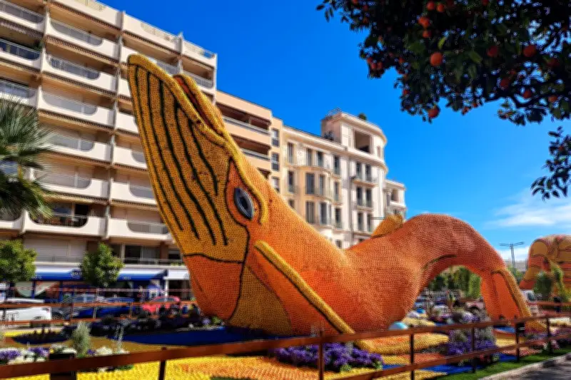 Fête du Citron de Menton : 5 thèmes imaginés en attendant l'annonce officielle