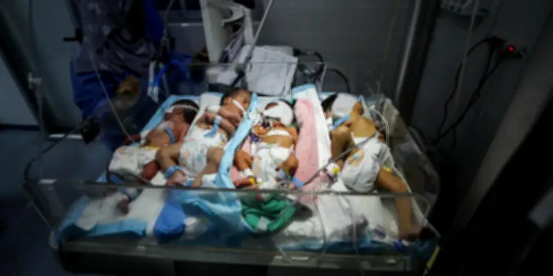 Gaza : Amnesty International dénonce l'effondrement du système de santé et son impact sur les femmes