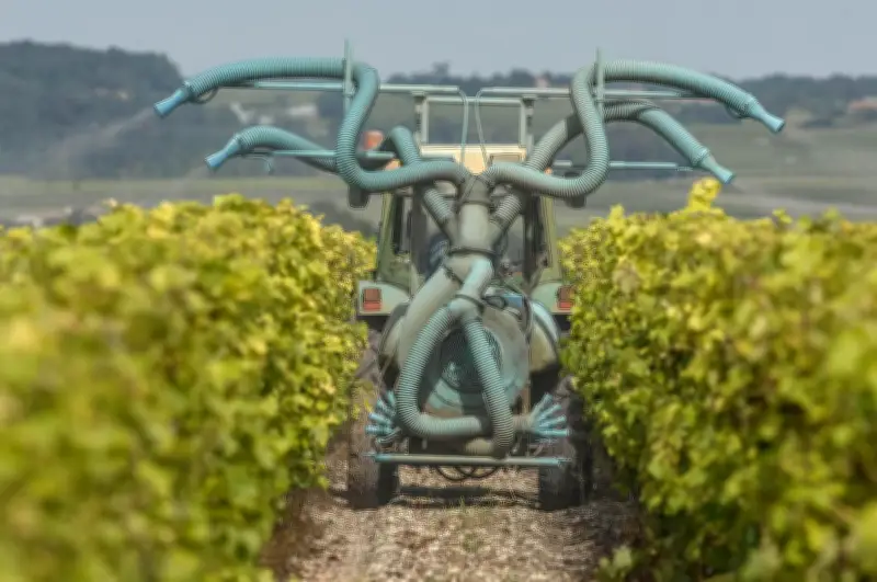 Gironde : Réunion d'urgence sur l'exposition aux pesticides dans les écoles et collèges