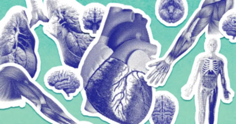 Giulia Enders dévoile 'Organique' : un voyage scientifique dans le corps humain