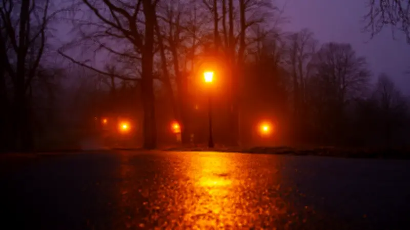 Gladsaxe opte pour l'éclairage rouge pour protéger les chauves-souris la nuit