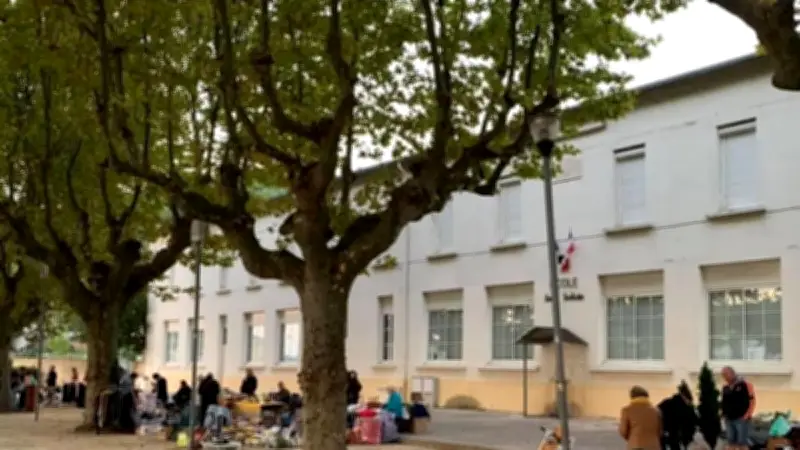 Grande lessive à Mons : les écoliers exposent leurs oiseaux sur l'esplanade