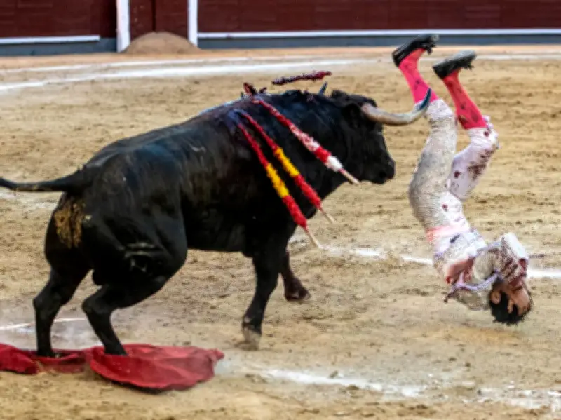 Grave blessure pour le torero Cristian Pérez lors d'une corrida à Madrid
