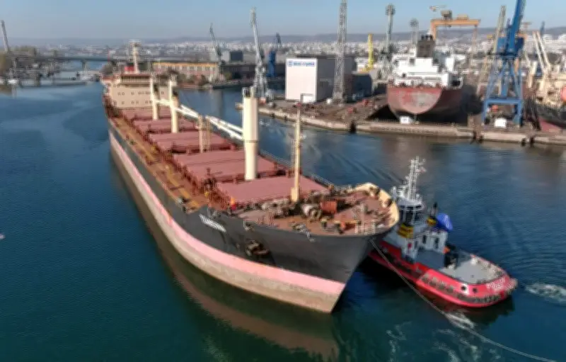 Greenpeace bloque un cargo russe à Dunkerque, soupçonné de transporter de l'uranium