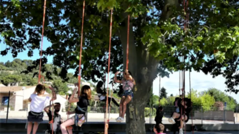 Grimpe d'arbres : une aventure éducative pour sensibiliser les enfants à la nature