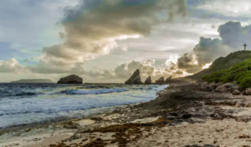 Guadeloupe : seulement 4 stations d'épuration sur 17 fonctionnent, une crise sanitaire et écologique