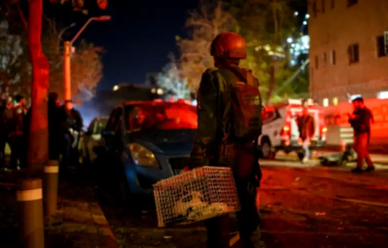 Guerre au Moyen-Orient : la France assouplit les règles pour rapatrier les animaux abandonnés