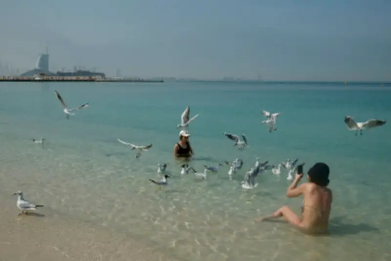 Guerre au Moyen-Orient : Les pétromonarchies du Golfe basculent de l'opulence à l'épouvante