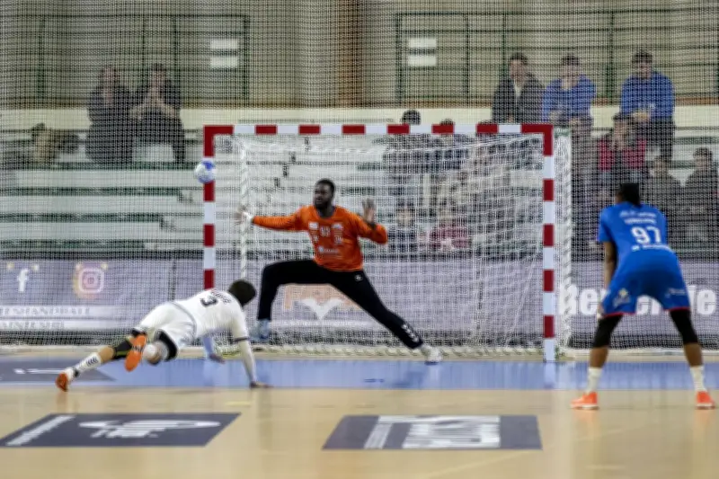 Handball : Saintes s'incline face à Sarrebourg dans un match serré (27-29)