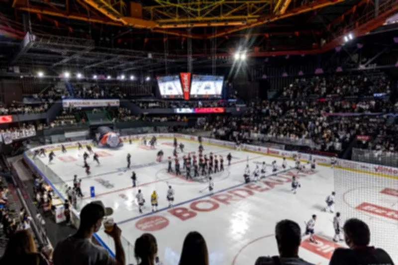 Hockey sur glace : l'équipement complet d'un joueur des Boxers de Bordeaux dévoilé